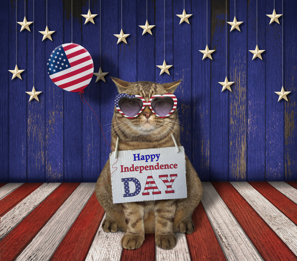 A cat wearing American-styled sunglasses and a sign saying ‘Happy Independence Day’ with the American flag in the background.  eventclothing.com